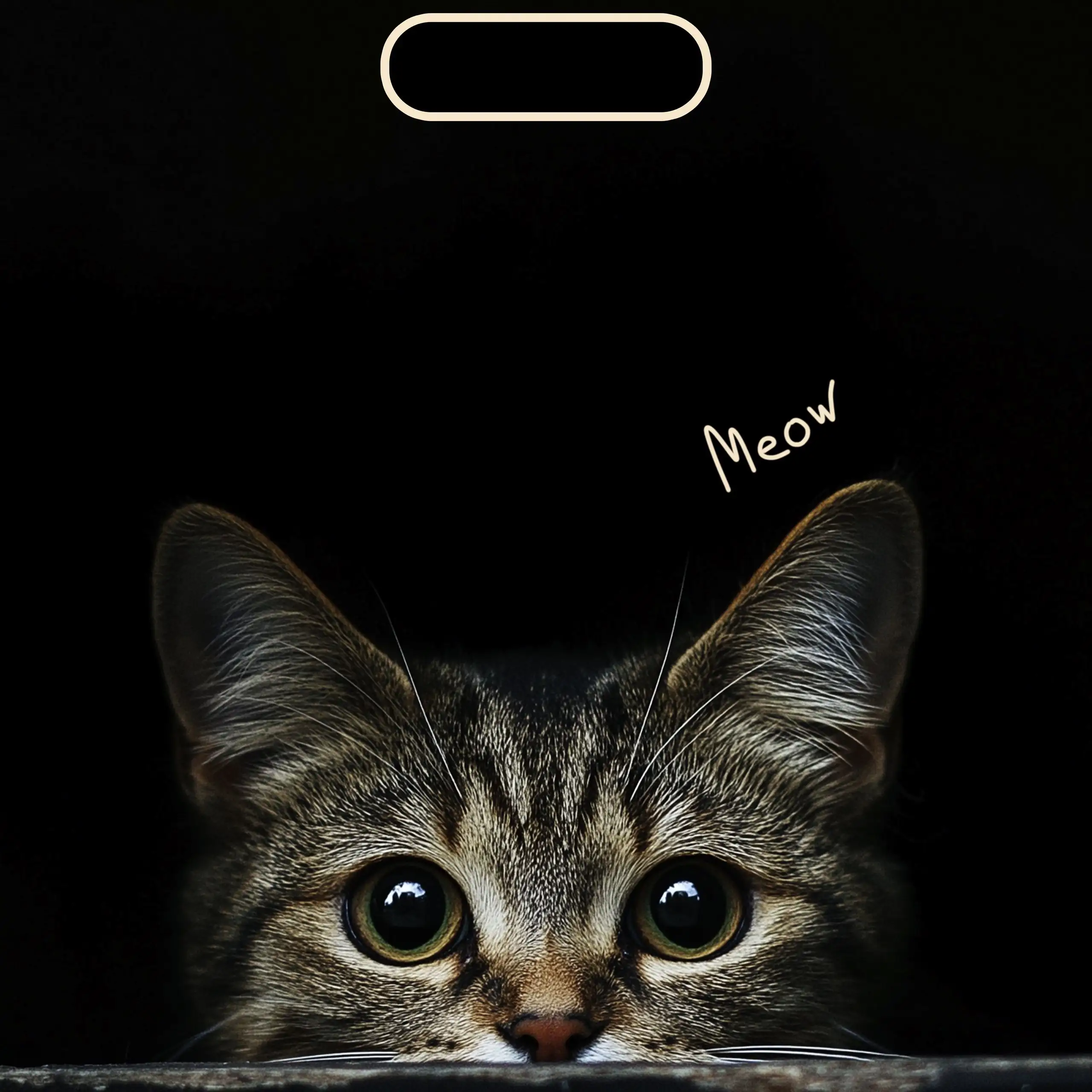 Image Missing